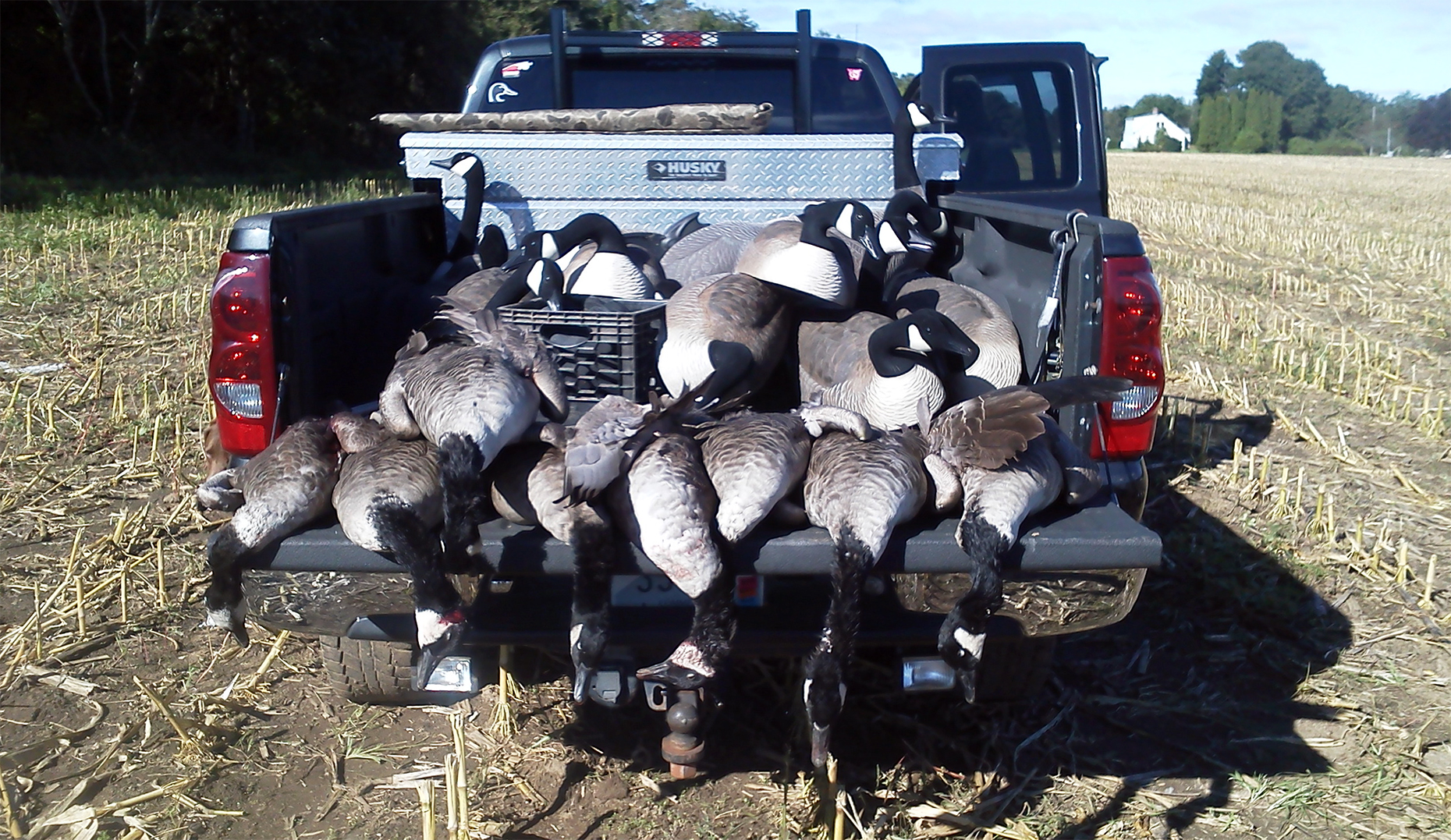 Pickup full of birds and decoys