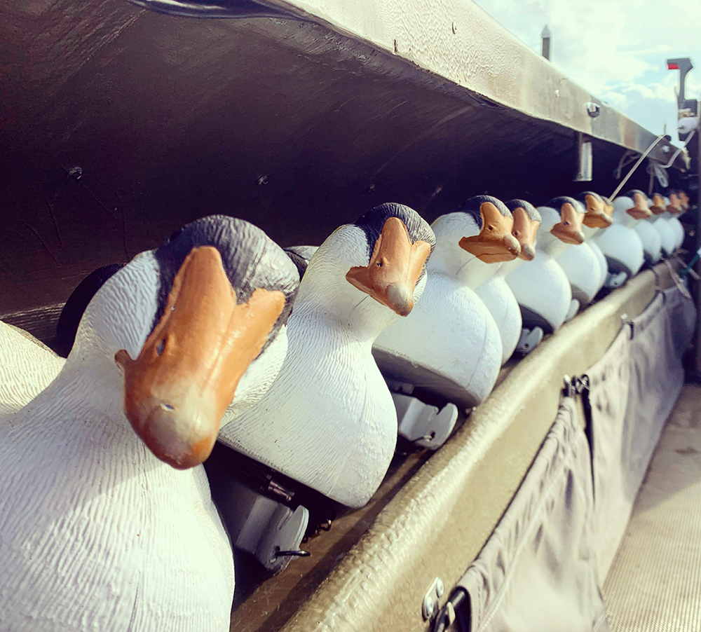 Row Of Decoys