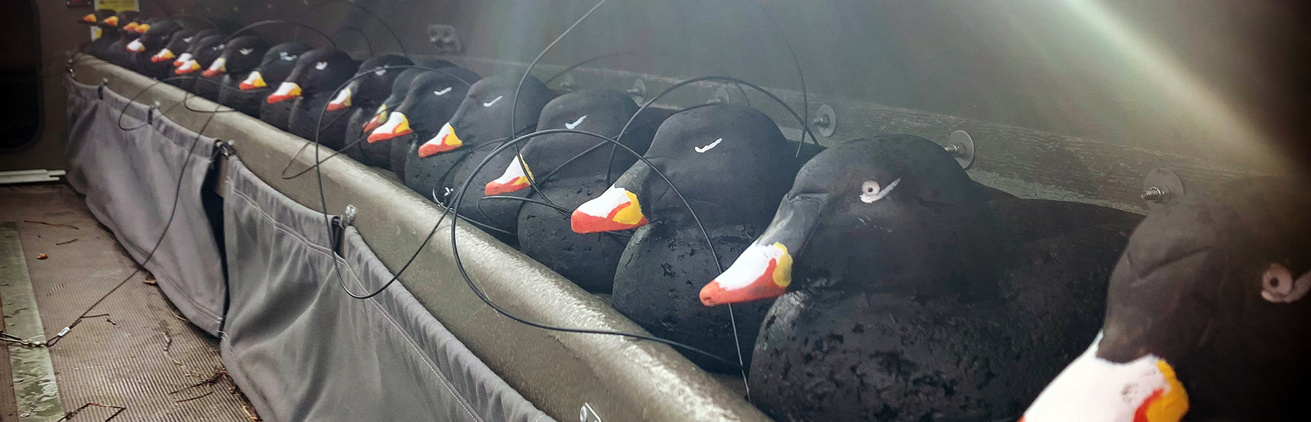 All our ducks lined up...